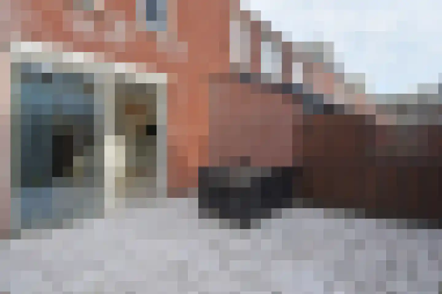 Noorderbeekstraat 52 Den Haag thumbnail 35