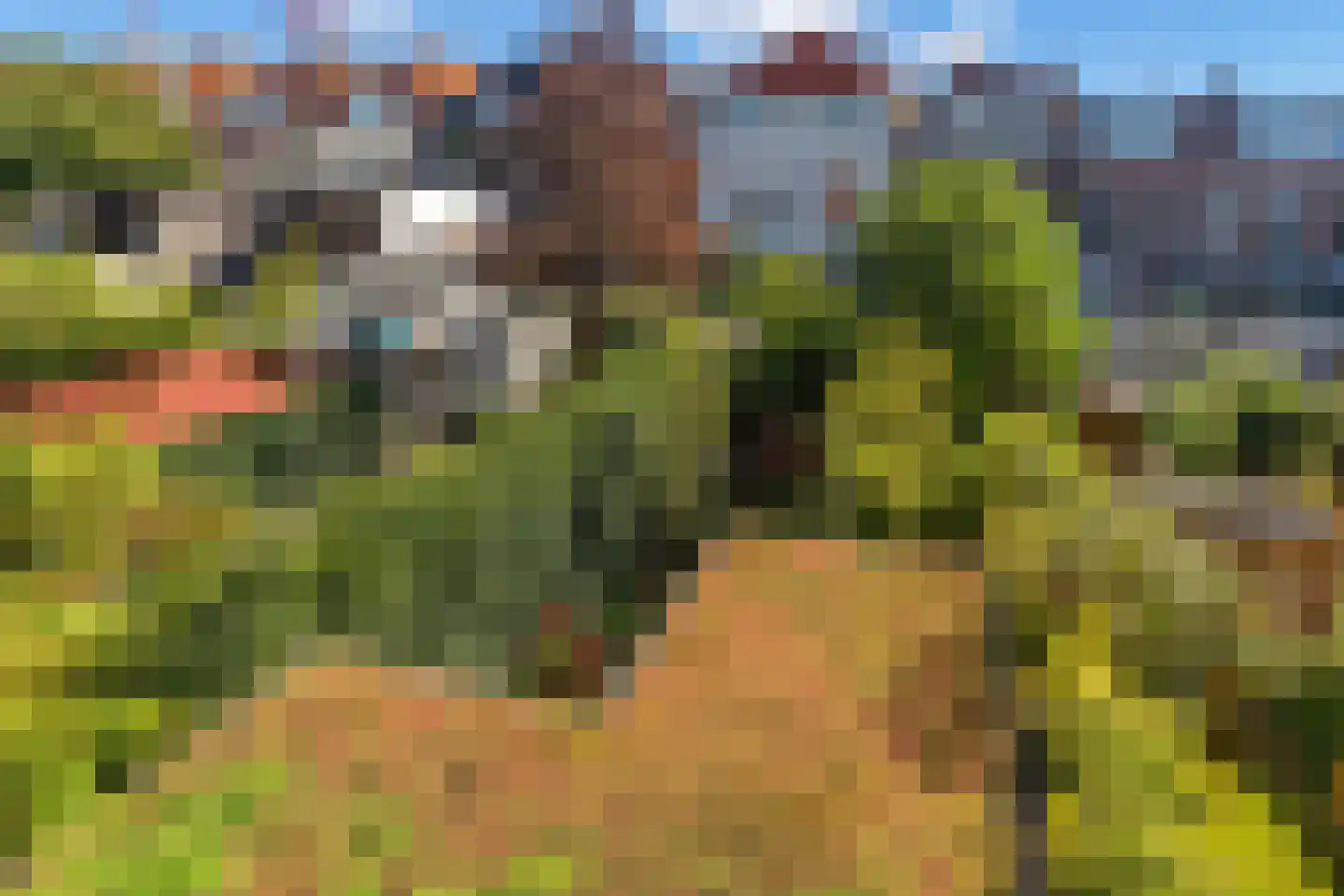 Noorderbeekstraat 76 Den Haag thumbnail 16