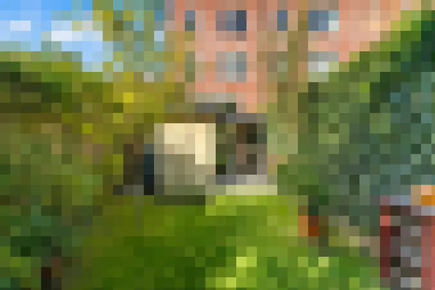 Noorderbeekstraat 76 Den Haag thumbnail 20