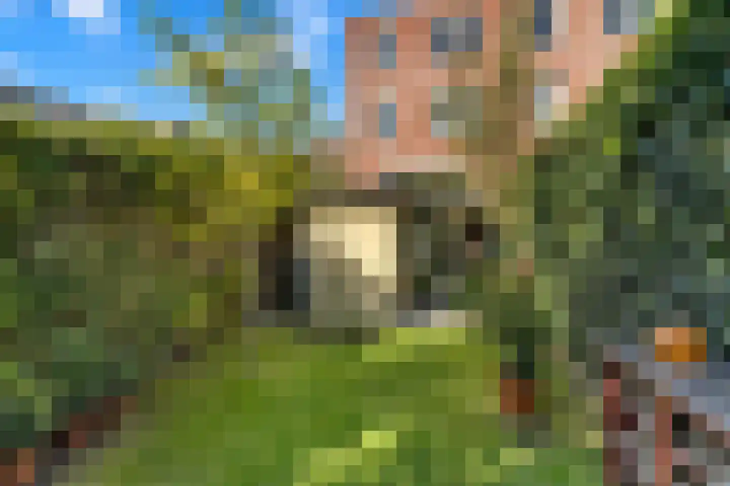 Noorderbeekstraat 76 Den Haag thumbnail 4