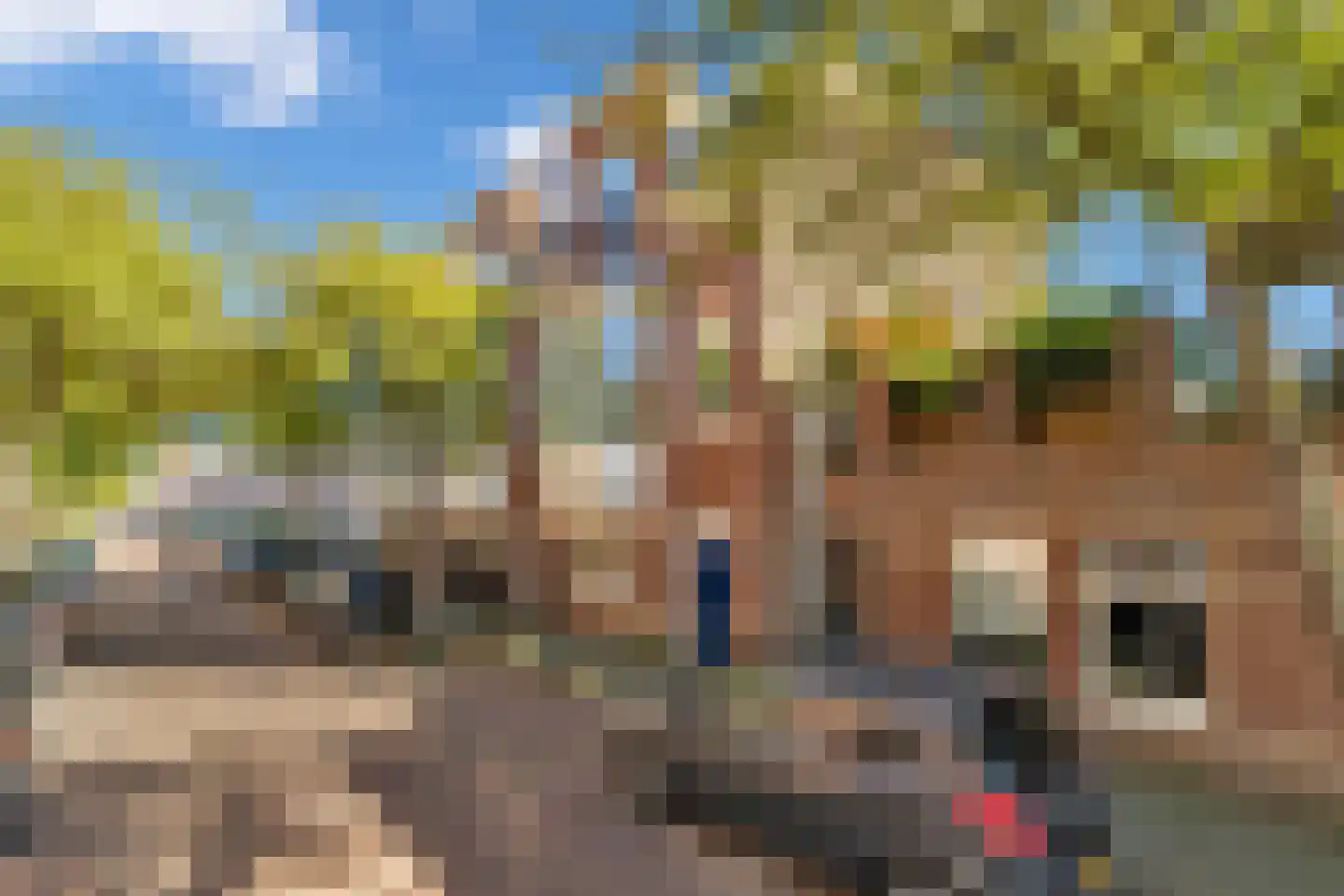 Noorderbeekstraat 76 Den Haag thumbnail 7