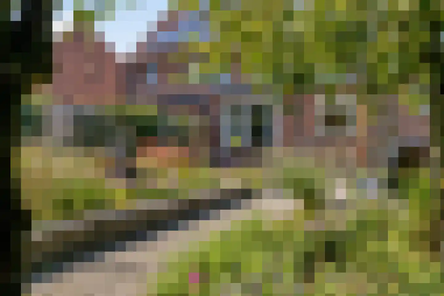 Noorderbeemd 7 Oosterhout thumbnail 33
