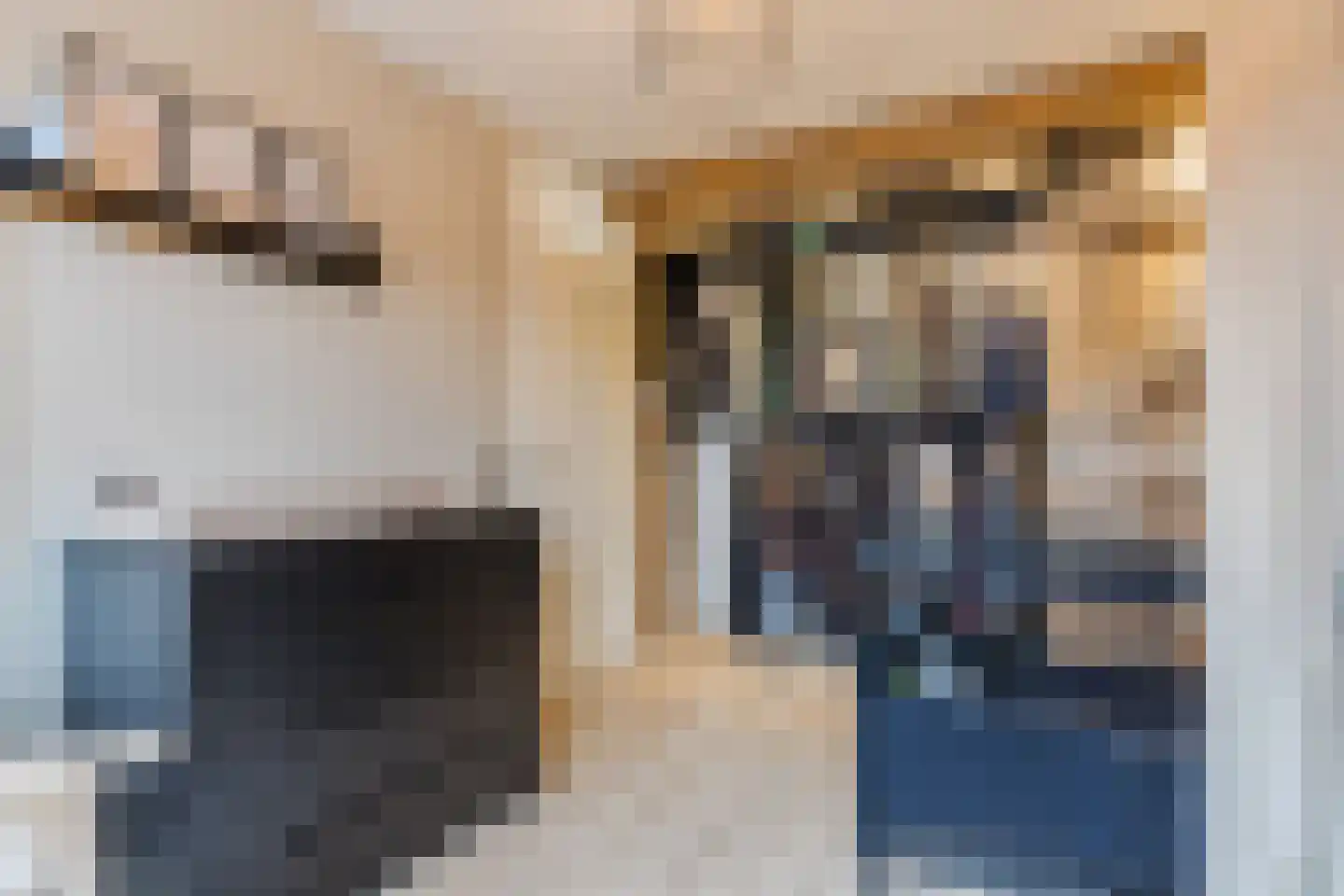 Noorderbeemd 8 Oosterhout thumbnail 19