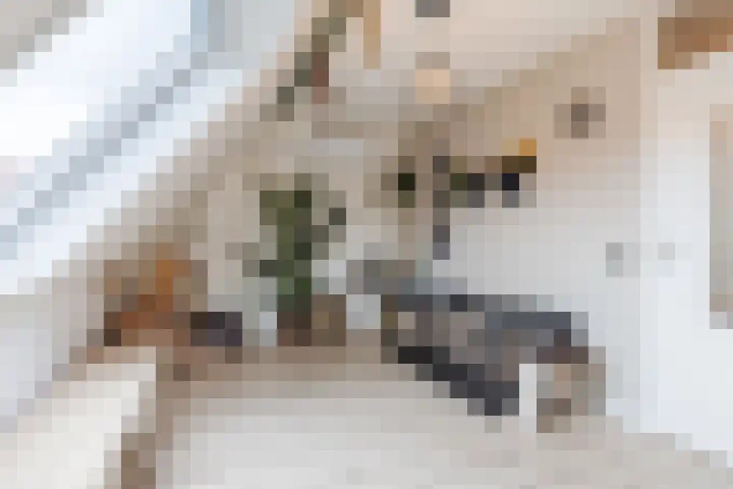 Noorderbeemd 8 Oosterhout thumbnail 20