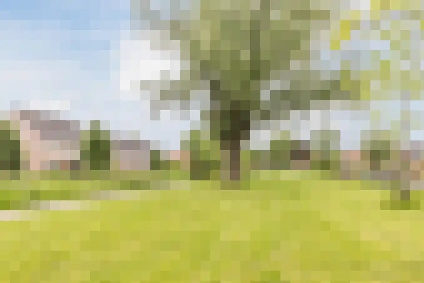 Noorderbeemd 8 Oosterhout thumbnail 37