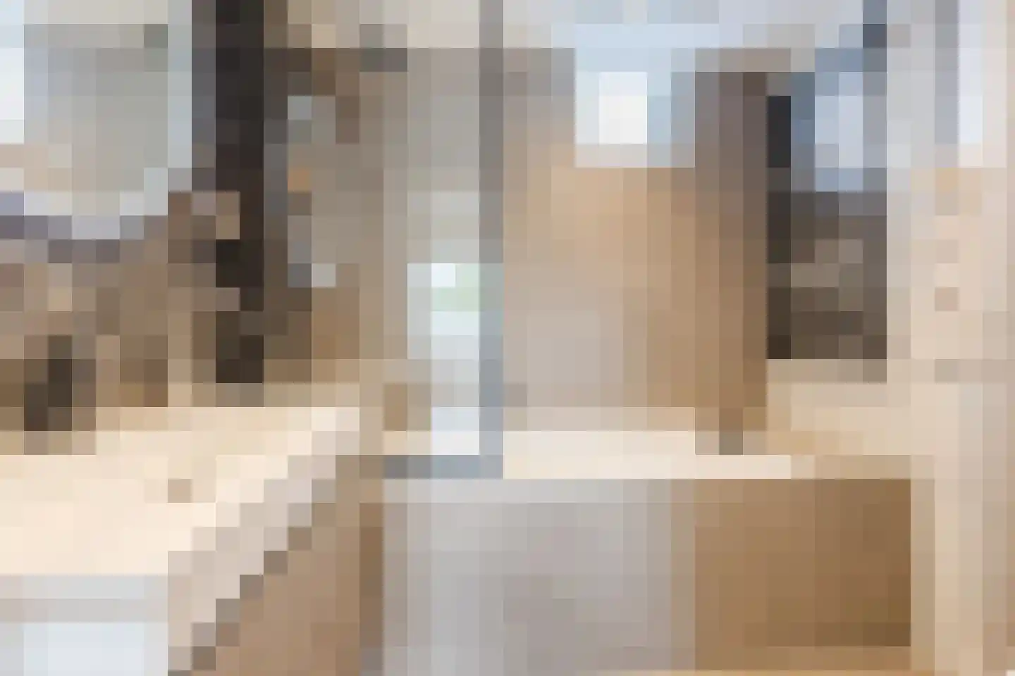 Noorderbeemd 8 Oosterhout thumbnail 4