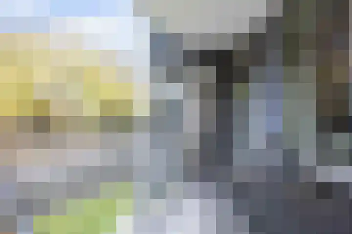 Noorderbinnensingel 11 4 Groningen thumbnail 11