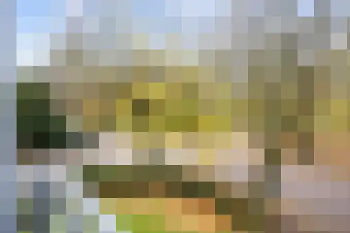 Noorderbinnensingel 11 4 Groningen thumbnail 12