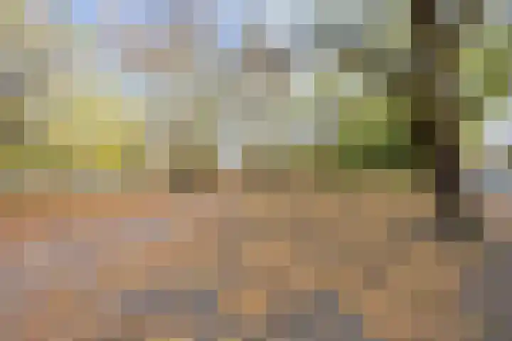 Noorderbinnensingel 11 4 Groningen thumbnail 14