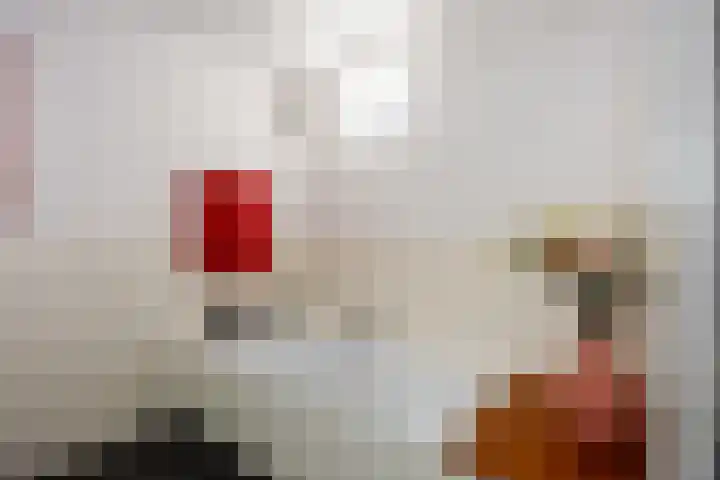 Noorderbinnensingel 11 4 Groningen thumbnail 33