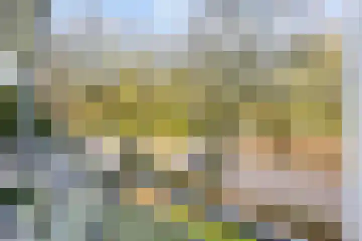 Noorderbinnensingel 11 4 Groningen thumbnail 39