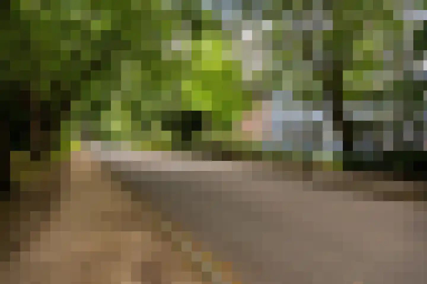 Noorderbinnensingel 11 7 Groningen thumbnail 37