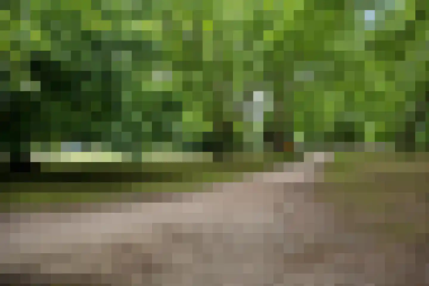 Noorderbinnensingel 11 7 Groningen thumbnail 38