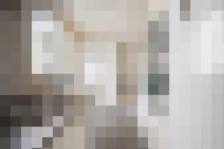 Noorderbinnensingel 20 Groningen thumbnail 18