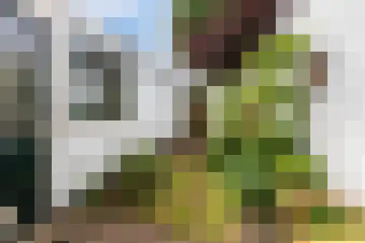 Noorderbinnensingel 20 Groningen thumbnail 24