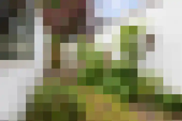 Noorderbinnensingel 20 Groningen thumbnail 25