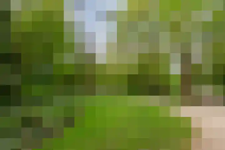 Noorderbinnensingel 20 Groningen thumbnail 29