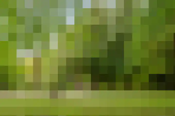 Noorderbinnensingel 20 Groningen thumbnail 30