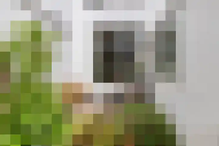 Noorderbinnensingel 20 Groningen thumbnail 4