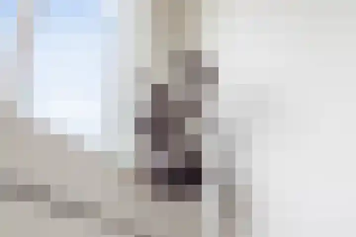 Noorderbinnensingel 20 Groningen thumbnail 8