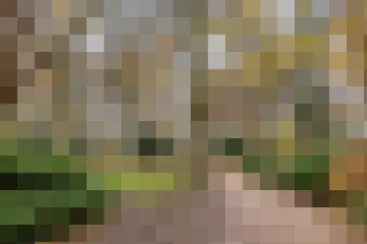 Noorderbinnensingel 22 a Groningen thumbnail 38