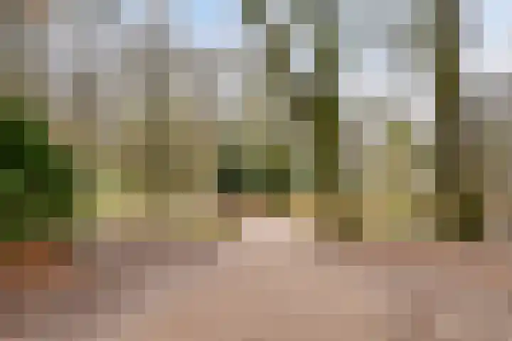 Noorderbinnensingel 22 a Groningen thumbnail 6