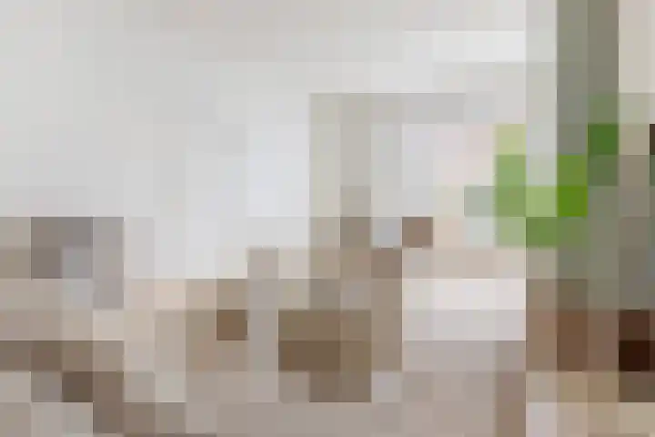 Noorderbinnensingel 22 Groningen thumbnail 11