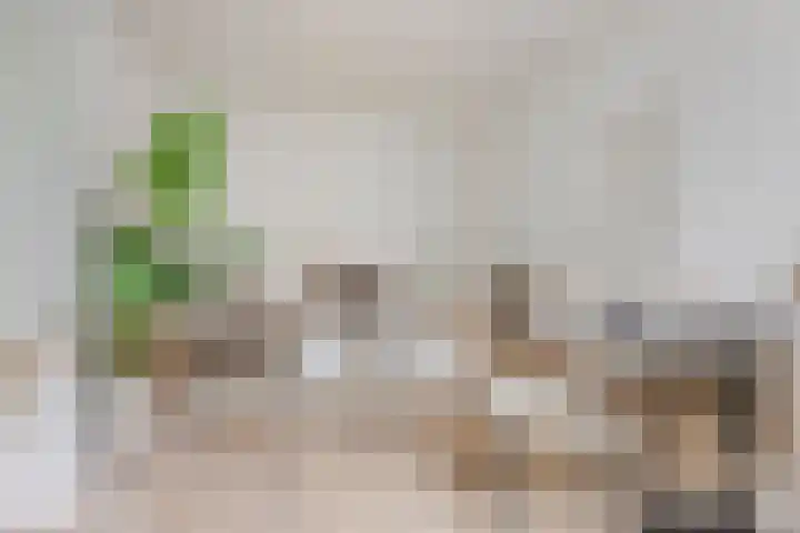 Noorderbinnensingel 22 Groningen thumbnail 17