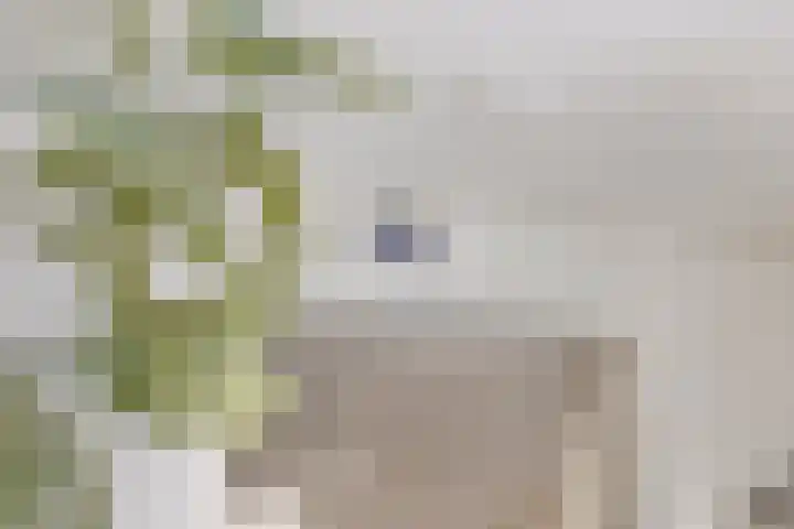 Noorderbinnensingel 22 Groningen thumbnail 20
