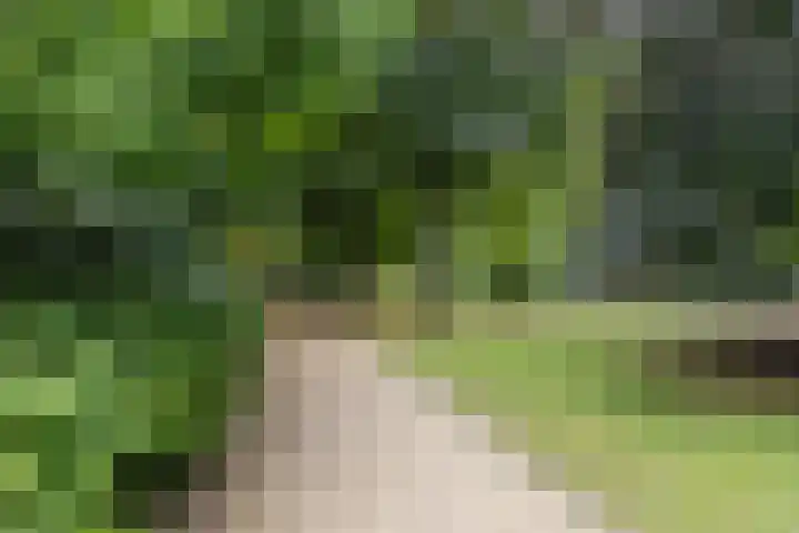 Noorderbinnensingel 22 Groningen thumbnail 31