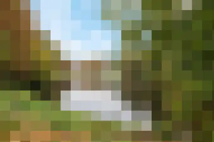 Noorderbinnensingel 22 Groningen thumbnail 33