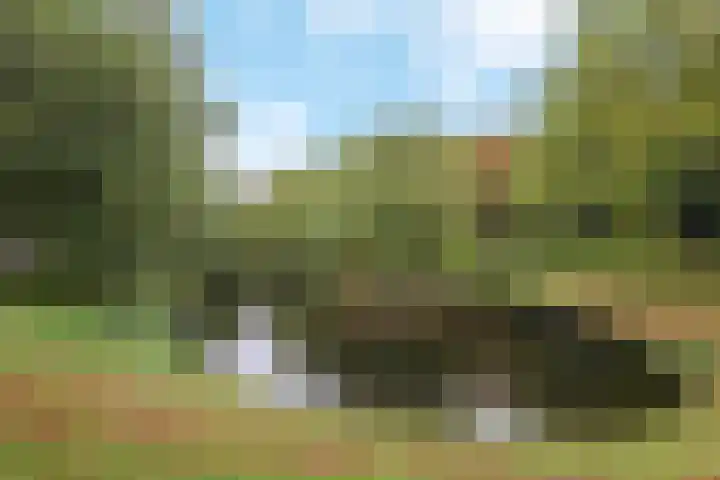 Noorderbinnensingel 22 Groningen thumbnail 34