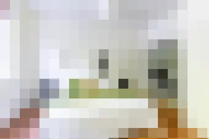 Noorderbinnensingel 59 1 Groningen thumbnail 23