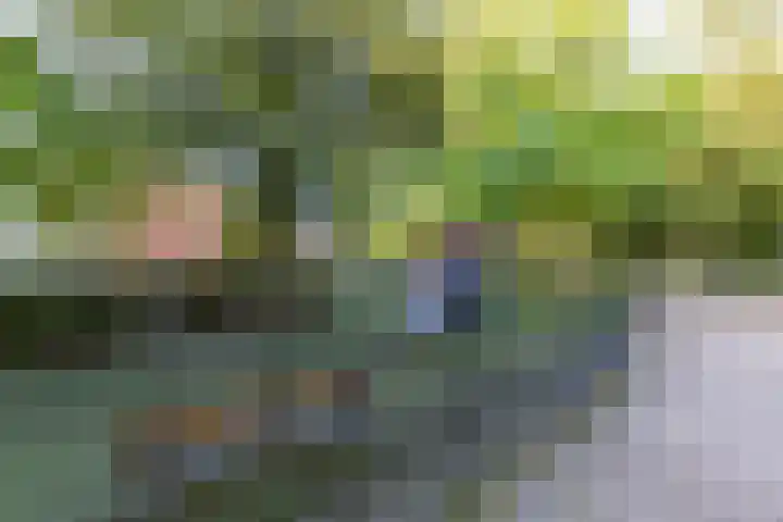 Noorderbinnensingel 59 1 Groningen thumbnail 38