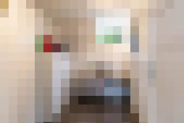 Noorderbinnensingel 59 1a Groningen thumbnail 33