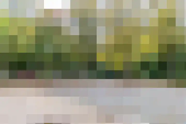 Noorderbinnensingel 59 1a Groningen thumbnail 46