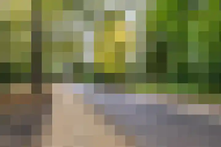 Noorderbinnensingel 59 1a Groningen thumbnail 47