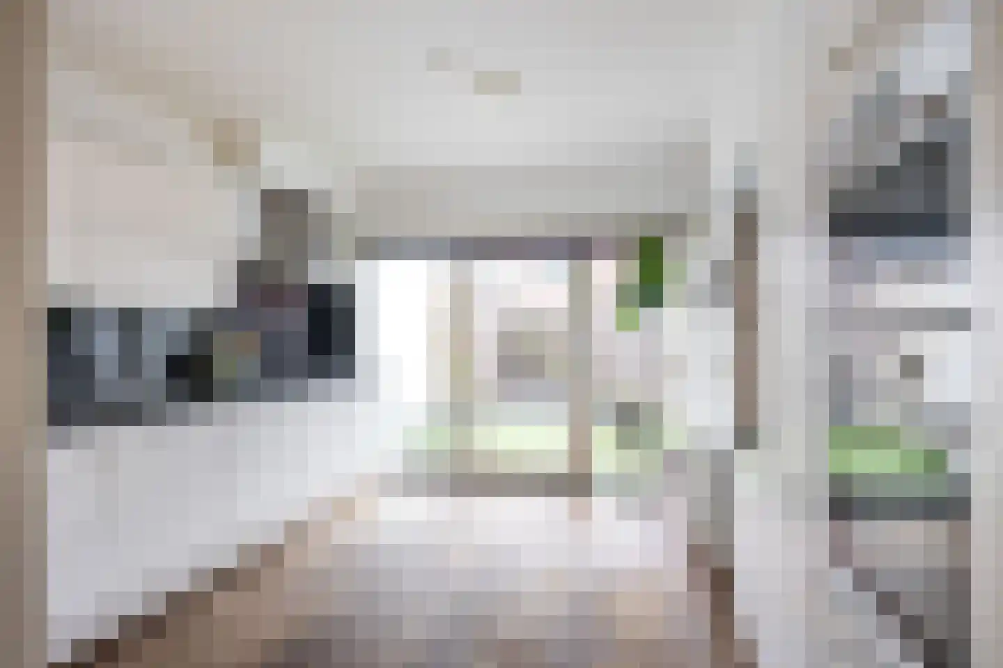 Noorderbinnensingel 77 Groningen thumbnail 15