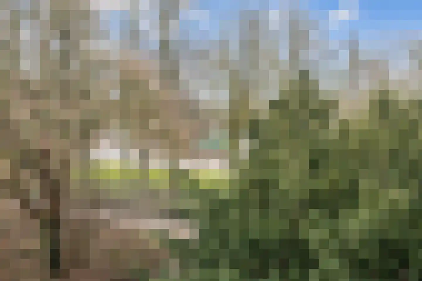 Noorderbinnensingel 77 Groningen thumbnail 36