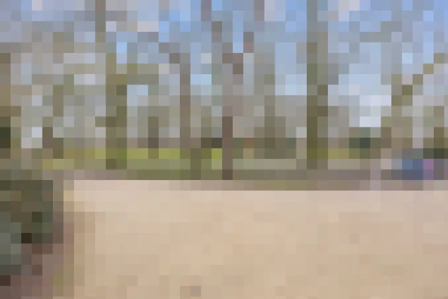 Noorderbinnensingel 77 Groningen thumbnail 5