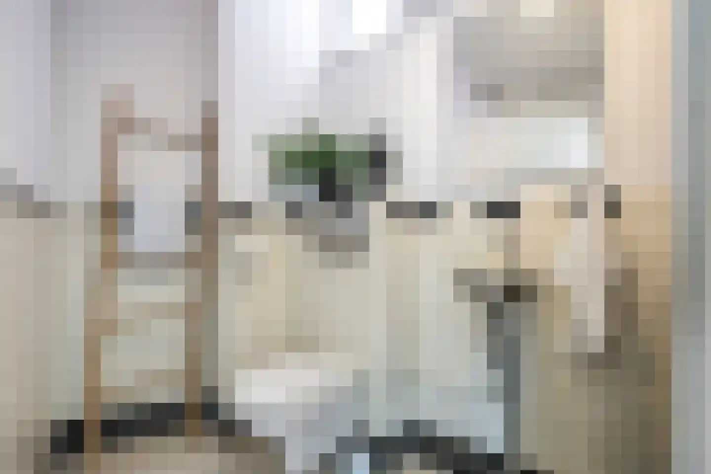 Noorderbinnensingel 77 Groningen thumbnail 8