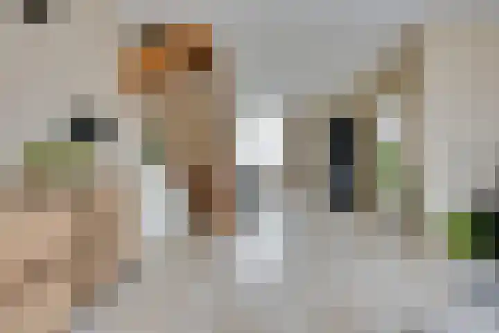 Noorderbleek 13 Franeker thumbnail 16