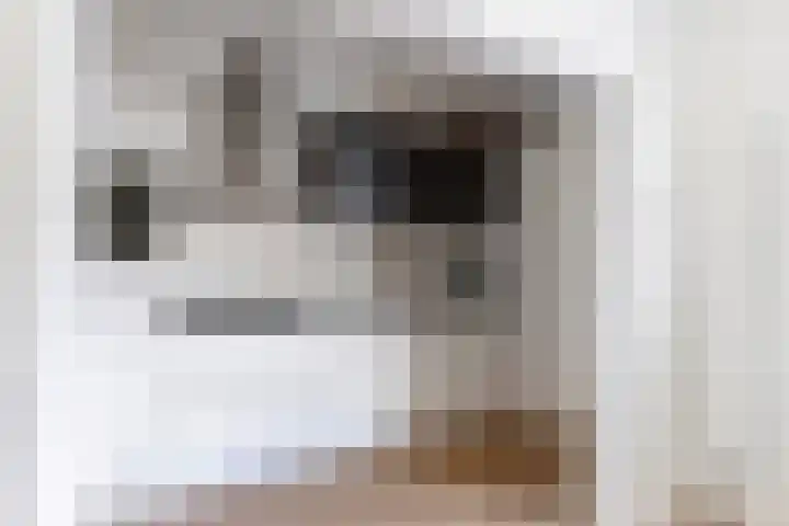 Noorderbleek 13 Franeker thumbnail 21