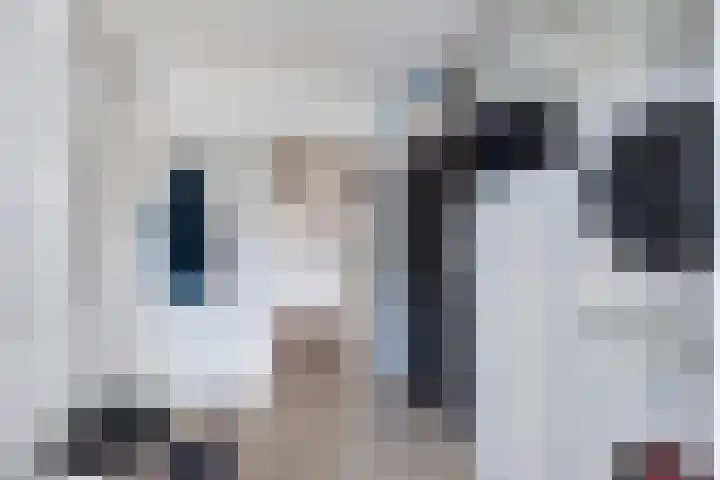 Noorderbleek 13 Franeker thumbnail 25