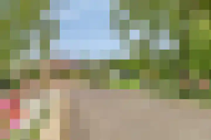Noorderbleek 13 Franeker thumbnail 26