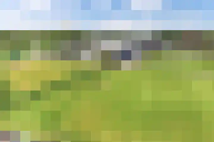 Noorderbleek 13 Franeker thumbnail 35