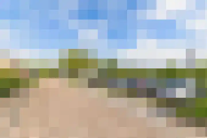 Noorderbleek 13 Franeker thumbnail 6