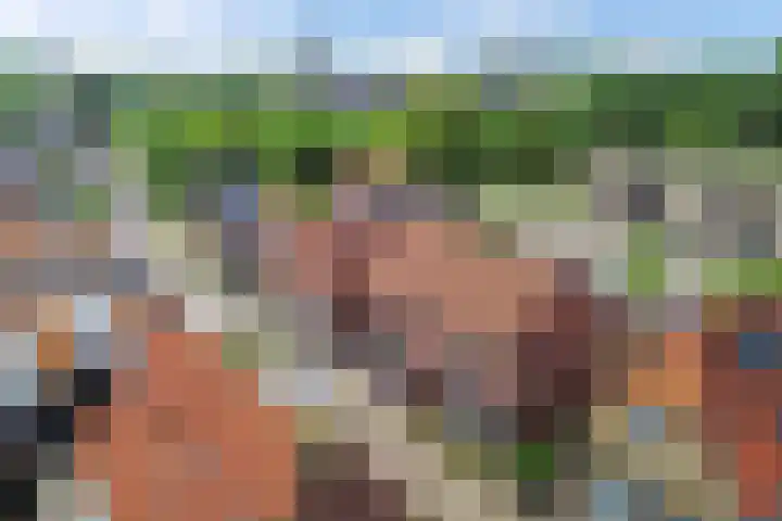 Noorderbleek 13 Franeker thumbnail 9