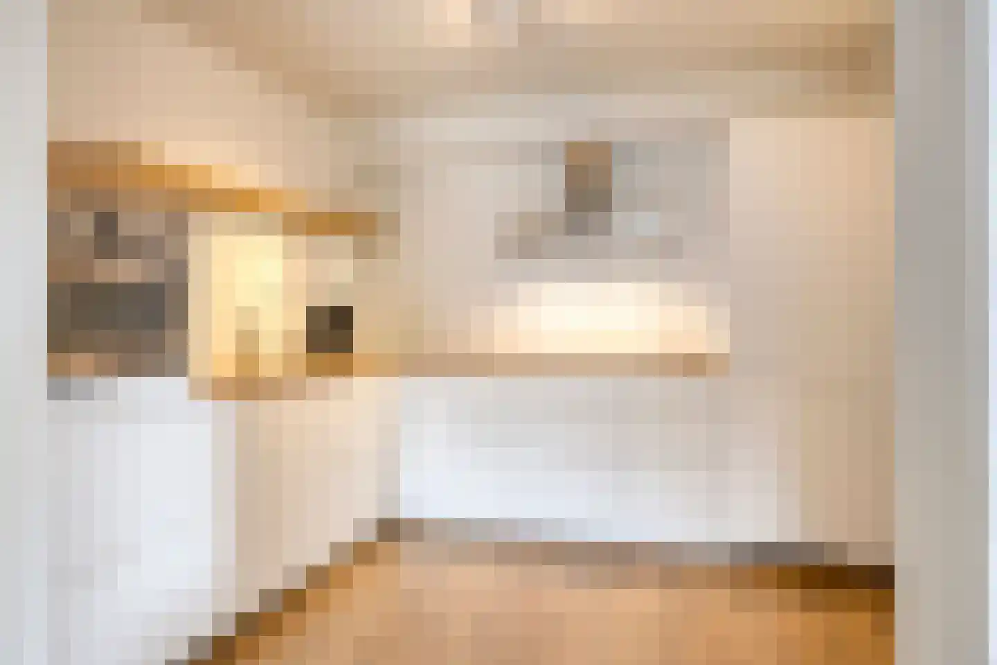 Noorderbleek 62 e Lochem thumbnail 7
