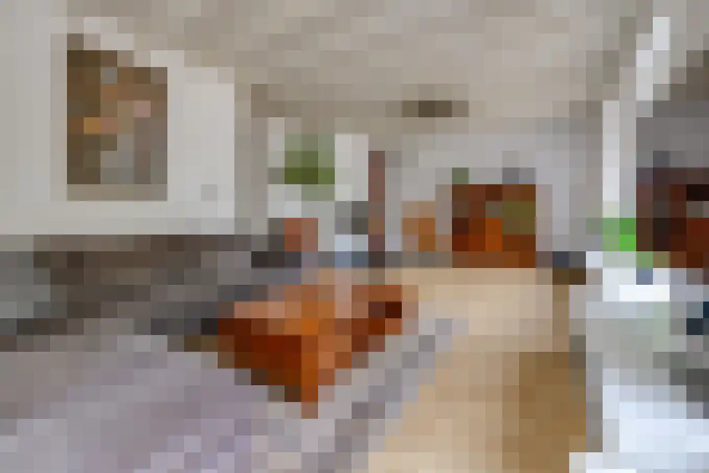 Noorderblokken 15 Drouwenermond thumbnail 17
